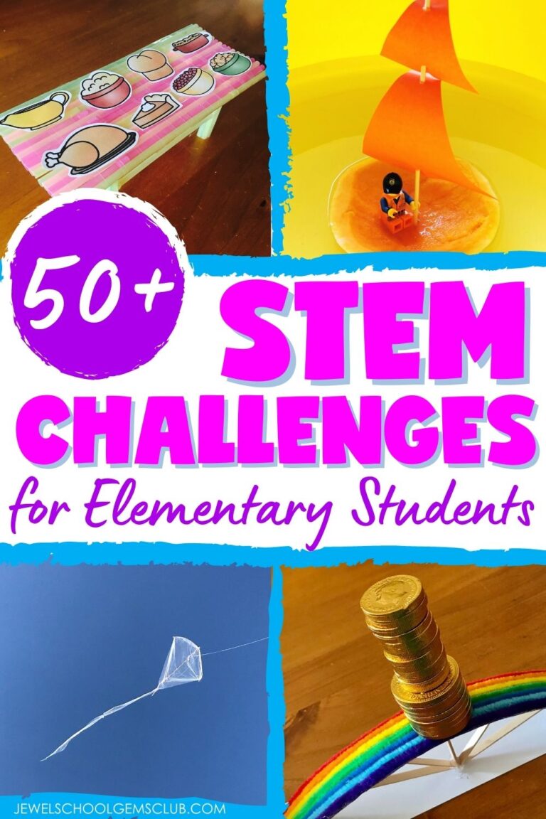 challenges in stem education